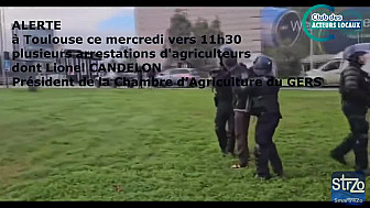Les Agriculteurs de Haute-Garonne et des citoyens anti-Mercosur usent de leur droit de manifester.
