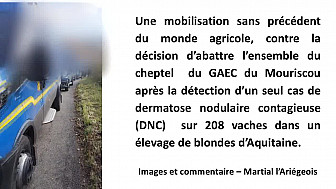 Ariège - Gaec Mouriscou - Mobilisation du monde agricole contre la décision d'abattre un cheptel à Bordes-sur-Arize - Témoignage et images de Martial l'Ariégeois